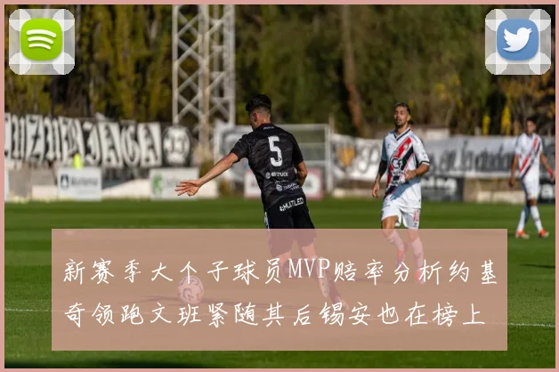新赛季大个子球员MVP赔率分析约基奇领跑文班紧随其后锡安也在榜上