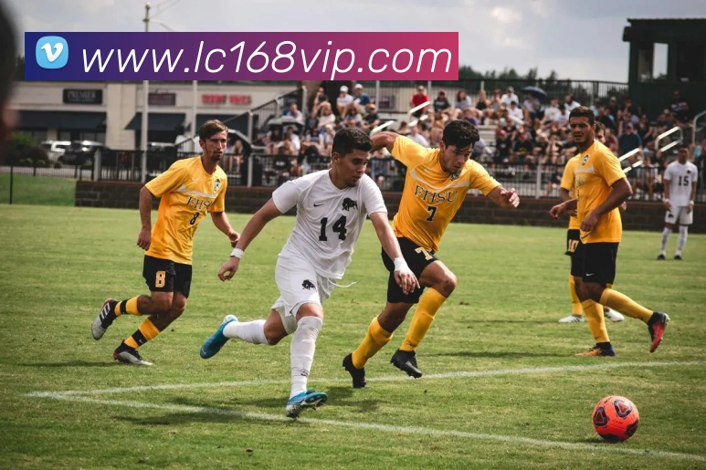 App Interface Preview